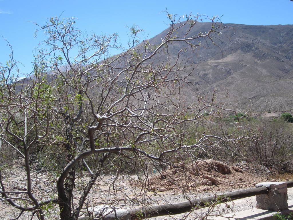 הואקלרה Posada Campo Morado מראה חיצוני תמונה